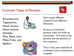 parasites-15-638